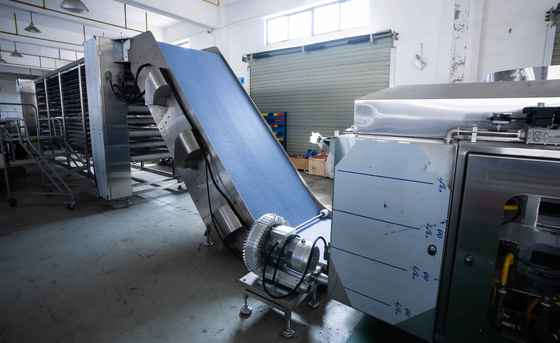 Automatic Electric 304 Stainless Steel Complete Tortilla Making Machine