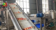 1000kg/H Apple Input Juice Fruit Puree Processing Line Automatic Operation