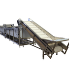 380V Apple Processing System Professional High Efficiency Line For Fruit Processing