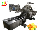 Customizable Power Supply Fruit Processing Equipment 1 - 5t/H Production Capacity