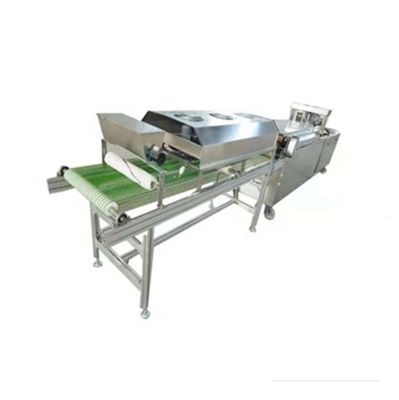 1 Heads Automatic Commercial Tortilla Press for Consistent and Fast Dough Pressing
