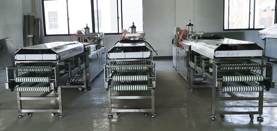 Tortilla Machine With Renmin Cable For High Volume Production CE Certified