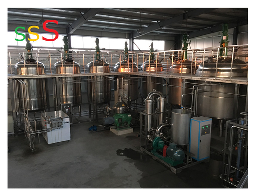 Professional Installation and Commissioning for 3 Tons Per Hour Fresh Mango Paste Jam Production Line