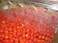Tin Can Packing Tomato Paste Making Machine 300kgs Per Hour