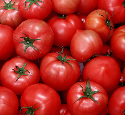 Automatische Tomaten-Ketschup-Fertigungsstraße 6,5 Tonnen pro Stunde