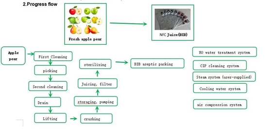 Fresh Juice Bib Packing Fruit Juice Production Line 1 Ton Per Hour
