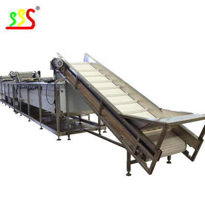 Dried Pineapple Slice With Bag Packing Fruit Processing Line