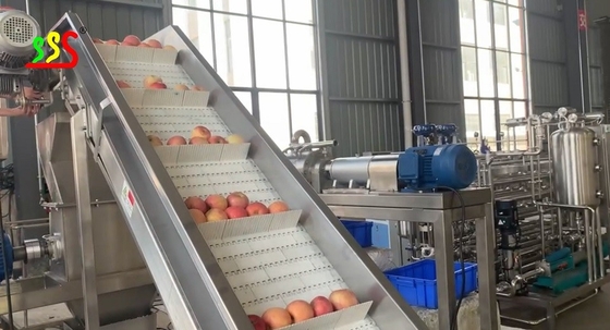 Electric Automatic Apple Puree Production Line