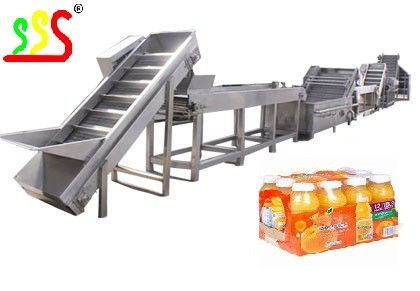 Raw Mango Pineapple Juice Making Machine 300 - 500ml Bottle 2t/H