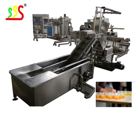 Automatic Fruit Juice Production Line 500 - 1000L/H Beverage Filling Machine