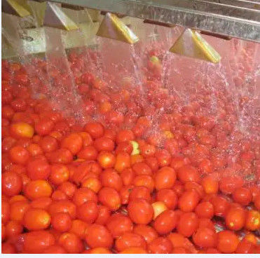 Automatische Tomatenkonzentrat-Produktlinie-hohe Geschwindigkeit