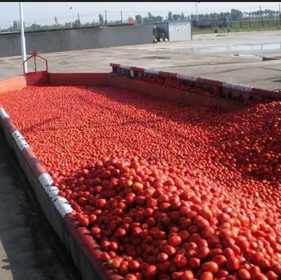 Tomato Paste Production Line For 300 Tones A Day Processing Machine
